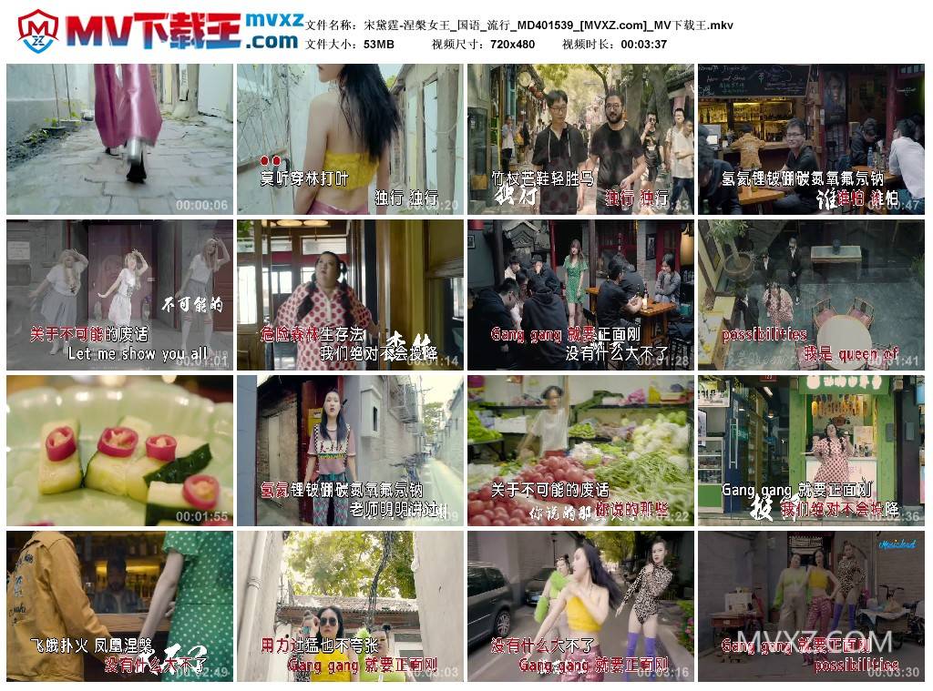 宋黛霆-涅槃女王_国语_流行_MD401539